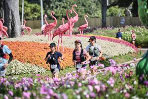 BIB: 
                            <button type="button" onclick="openModal(27793940)" class="btn btn-primary btn-sm float-right btn-popup" data-toggle="modal" data-target=".modal-high-quality">
                        <i class="fas fa-shopping-cart"></i> Add to Cart
                    </button>
                                            <button type="button" onclick="isThisMe(27793940, true)" class="btn btn-success btn-sm float-right btn-popup btn-isme hidden" data-toggle="tooltip" data-placement="bottom" title="นี่คือรูปของคุณใช่ไหม คลิกที่นี่เพื่อเอาเข้าอัลบั้ม">
                        <i class="fas fa-plus"></i> Add to album
                    </button>
                    <button type="button" onclick="isThisMe(27793940, false)" class="btn btn-warning btn-sm float-right btn-popup btn-isnotme hidden">
                        <i class="fas fa-ban"></i> Remove from album
                    </button>